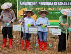 Wabup Apresiasi Swasta Turut Dukung Swasembada Pangan